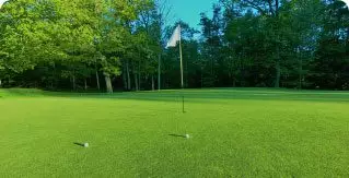 Two balls on a putting green with flag