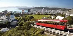 Image of Oriental Bay in Wellington taken from Mt Victoria on a sunny summer's day - mobile