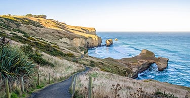 Image of a walking track leading down to Tunnel Beach on a clear blue sky day, with waves rolling into the coast