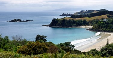 Image of the Auckland Harbour Bridge with pink and red lights at night, with the Auckland cityscape in the background