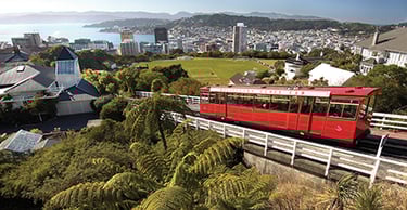 Image of the Wellington Cable Car in the foreground on a sunny day, with Kelburn Park and Wellington City and Harbour in the background