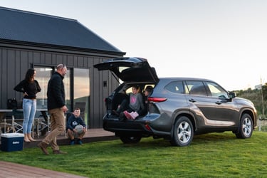Hybrid car rental for families