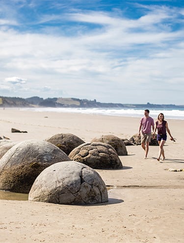 GO Rentals one-way road trip: Dunedin to Wellington Car Rentals