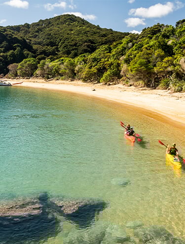 GO Rentals one-way road trip: Nelson to Auckland Car Rentals