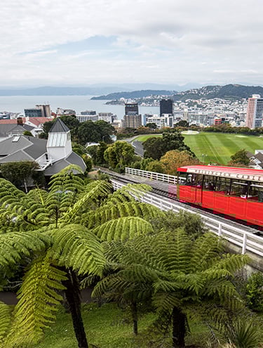 GO Rentals one-way road trip: Wellington to Dunedin Car Rentals