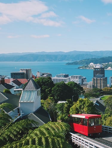 GO Rentals one-way road trip: Wellington to Auckland Car Rentals