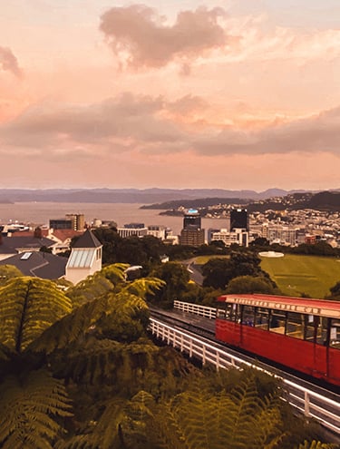 GO Rentals one-way road trip: Wellington to Nelson Car Rentals