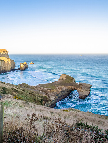 Image of a walking track leading down to Tunnel Beach on a clear blue sky day, with waves rolling into the coast