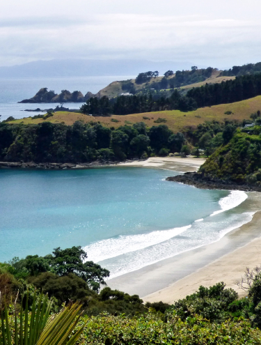 Image of one of the beaches of Waiheke Island