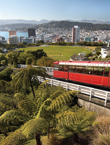 Image of the Wellington Cable Car in the foreground on a sunny day, with Kelburn Park and Wellington City and Harbour in the background