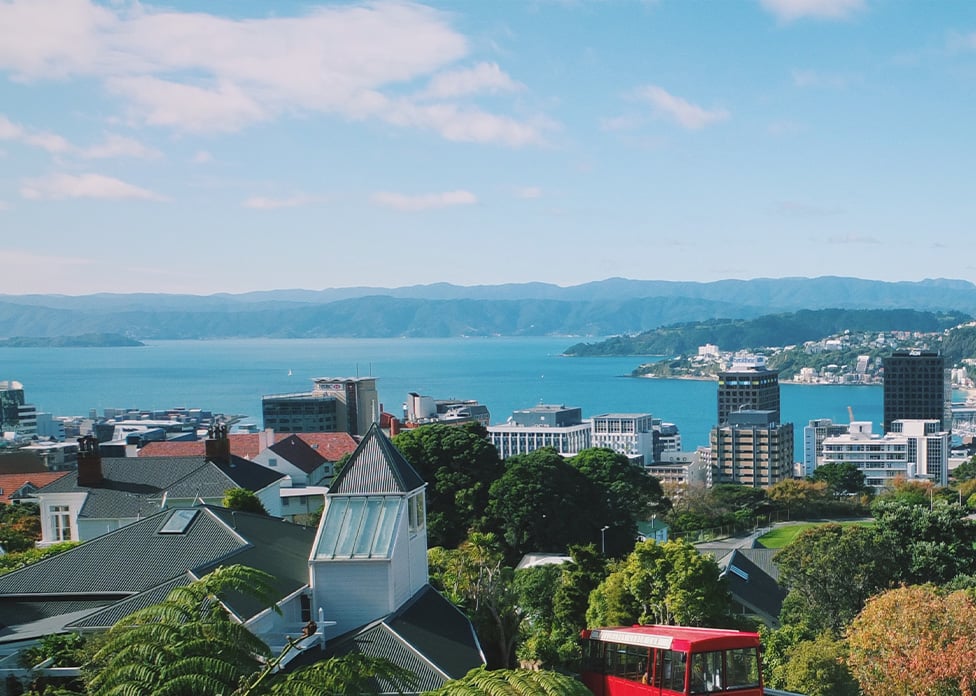 GO Rentals one-way road trip: Wellington to Auckland Car Rentals