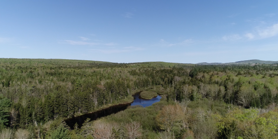Tomah Highlands Forestry Project