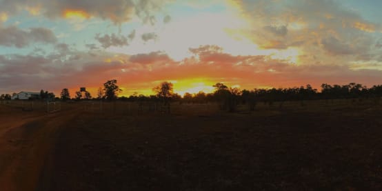 Darling River Conservation Initiative Site #8