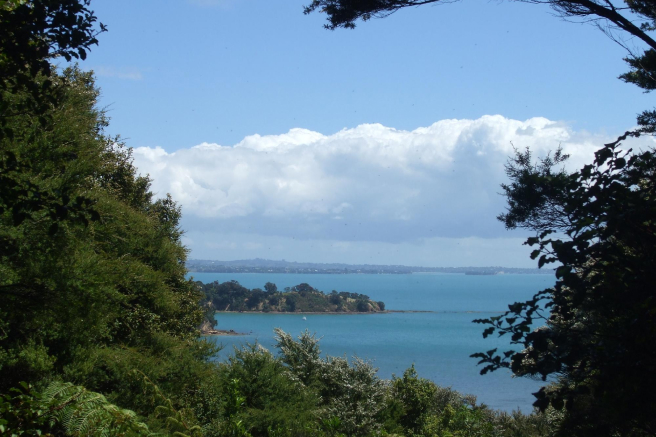 Whakanewha Regional Park