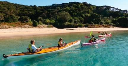 People kayaking on clear blue water near a sandy beach and forest