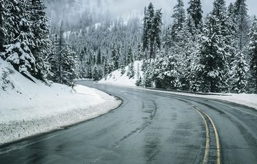 Icy mountain road surrounded by snow-covered trees