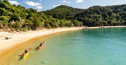 Kayakers paddling along a golden beach in Abel Tasman National Park