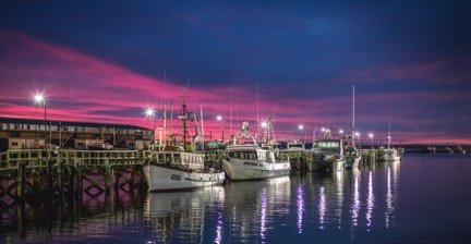 Fishing boats docked at Bluff harbor during a colorful twilight