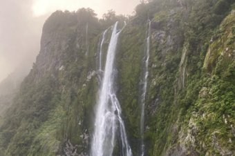 Waterfall cascading down a steep, green cliff in a misty Fiordland setting