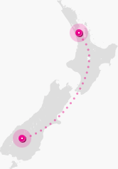 Auckland to Wellington map