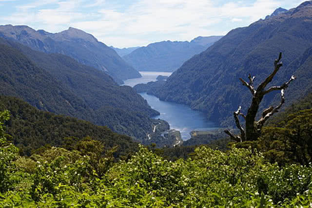 Image looking down onto Doubtful Sound, Fiordland, New Zealand