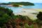 Image of Stewart Island showing a sandy beach and lush trees