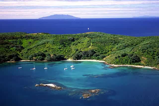 Image of Tiritiri Matangi ISland off the tip of the Whangaparaoa Peninsula north of Auckland