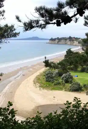 Image looking down onto the beach at Long Bay Regional Park on the North Shore, Auckland