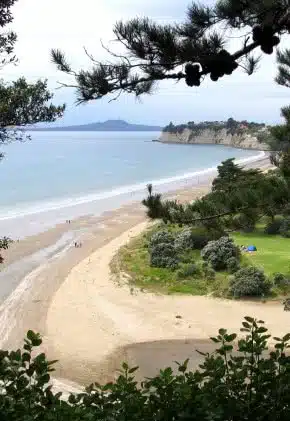 Long Bay Regional Park just North of Auckland