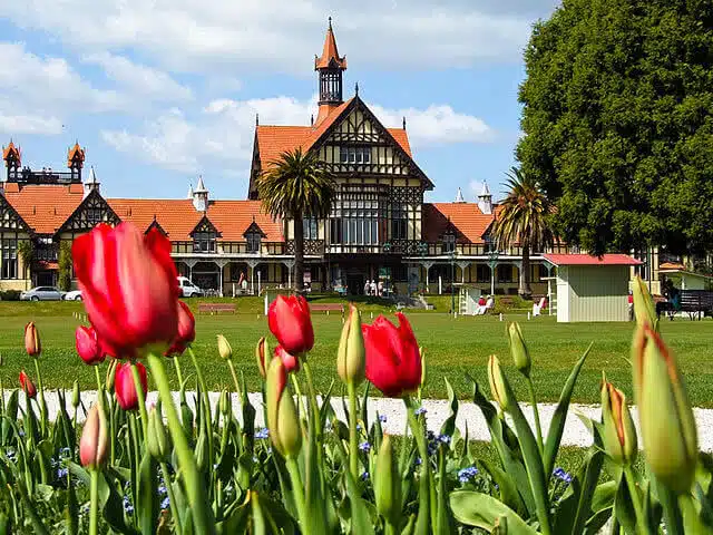 The Victorian styles Rotorua through a bed of red tulips