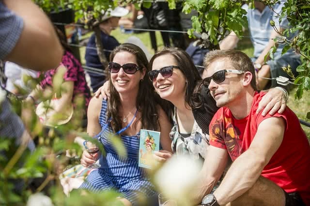 Image of a group enjoying wine in teh vines at Toast Martinborough