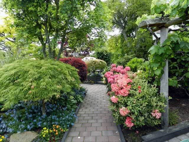 a path through the colourful flowers and plants in the Rotorua gardens