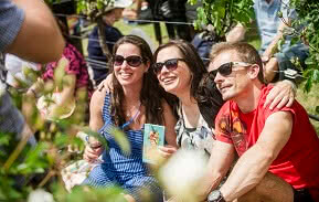 Image of people sat between the vies enjoying a wine at Toast Martinborough