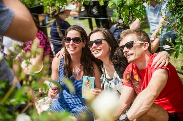 Image of people sat drinking wine in the vines at Toast Martinborough