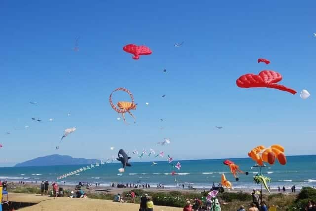 The crowds enjoy the spectacle of the Otaki Kite Festival