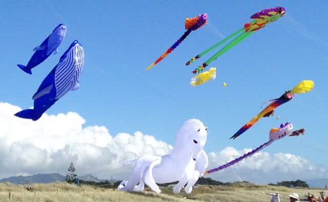 Image of a spectacular flying horse at the Otaki Kite Festival