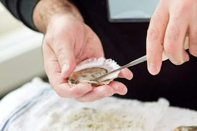 Image of the oyster shucking at the Bluff Oyster and Food Festival