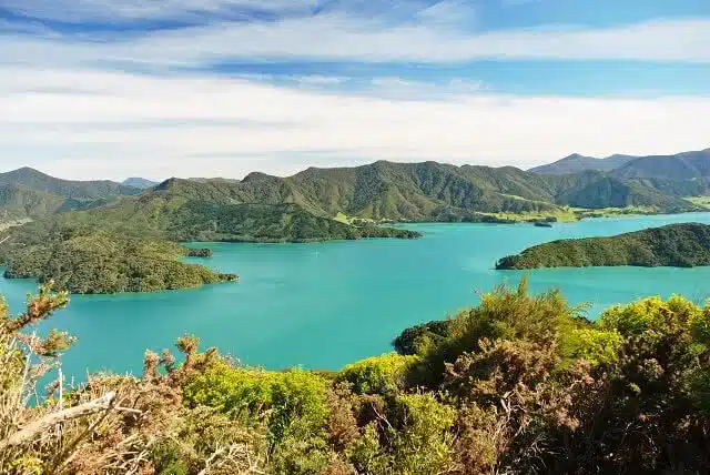View of the Marlborough Sounds seen from Queen Charlotte Track
