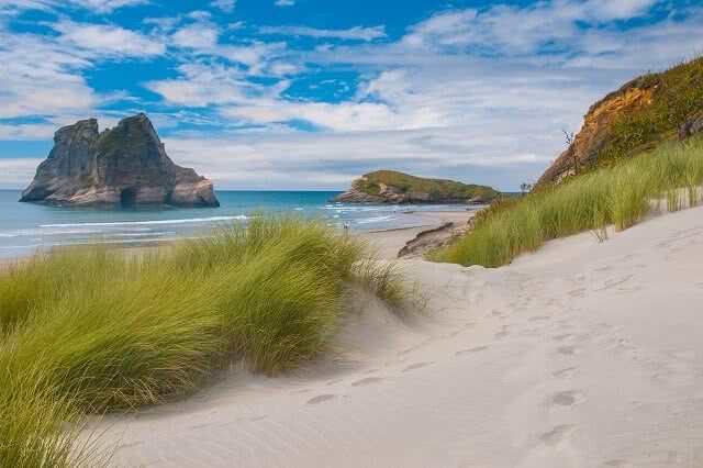 Image of the grass dunes and footprints in the sand at Wharariki Beach, Golden Bay