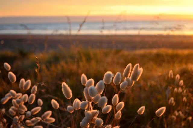 Sunset over the sea on the Kapiti coast