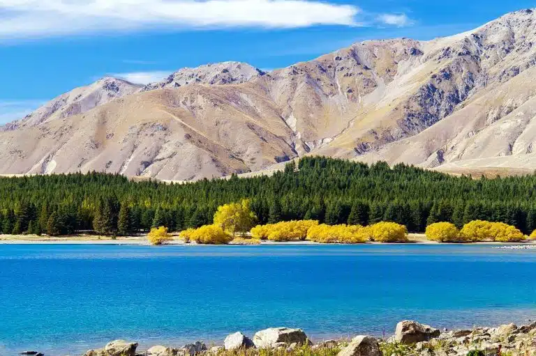 13 Things To Do In Lake Tekapo Explore Tekapo GO Explore 13 Things To Do In Lake Tekapo Explore Tekapo GO Explore
