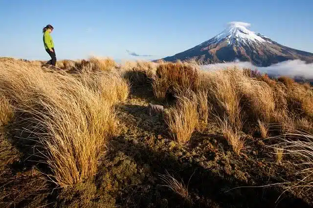 The Pouakai Crossing rivals the Tongariro Crossing as the best one day walk in New Zealand