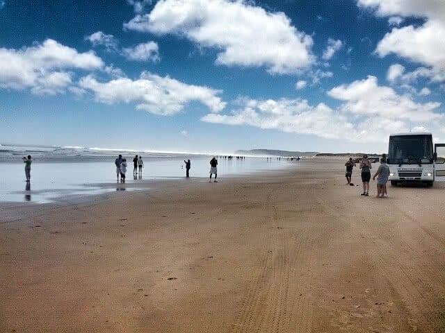 90 Mile Beach in Northland is a great place to explore