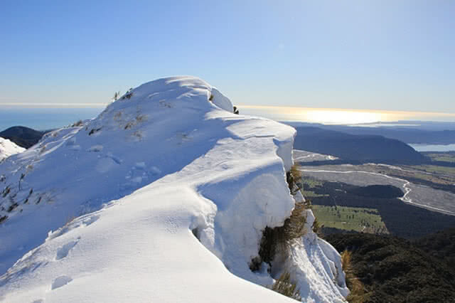The summit of the Alex Knob Track near Franz Josef. Image Credit: Department of Conservation (DOC)