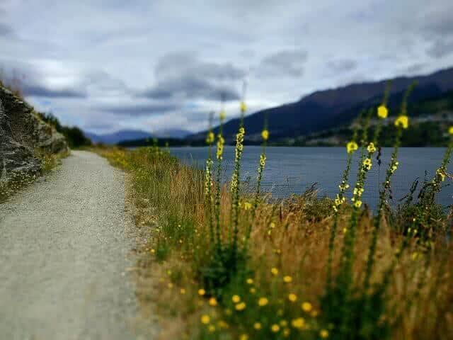 Cycling around the Frankton Arm in Queenstown