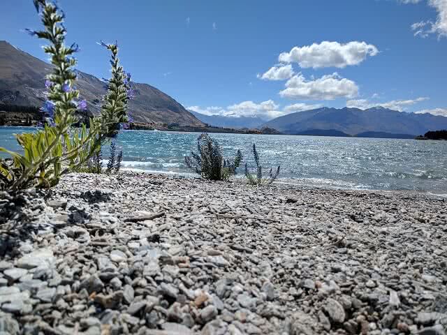 Looking out over Lake Wanaka