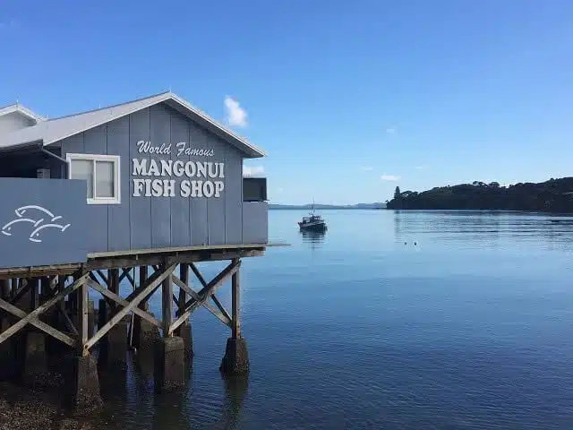 Mangonui Fish Shop - amazing fish and chips and an amazing view