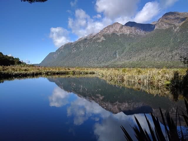 The Mirror Lakes are a great stop off on the way to Milford Sound