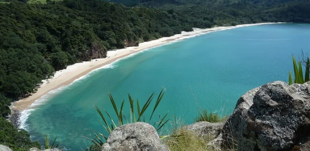 New Chums Beach, Coromandel