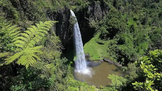 Bridal Veil Falls near Raglan. Photo credit: Imagea.org - Flickr